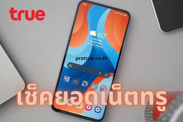 เช็คยอดเน็ตทรู