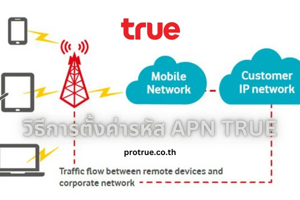 apn true